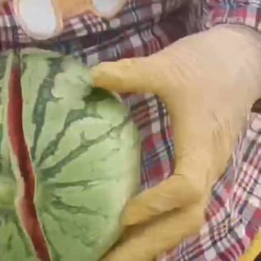 美都美都