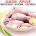 放血特大鹌鹑肉去内脏新鲜冷冻白条鹌鹑肉油炸烧烤炖汤
