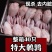 放血特大鹌鹑肉去内脏新鲜冷冻白条鹌鹑肉油炸烧烤炖汤