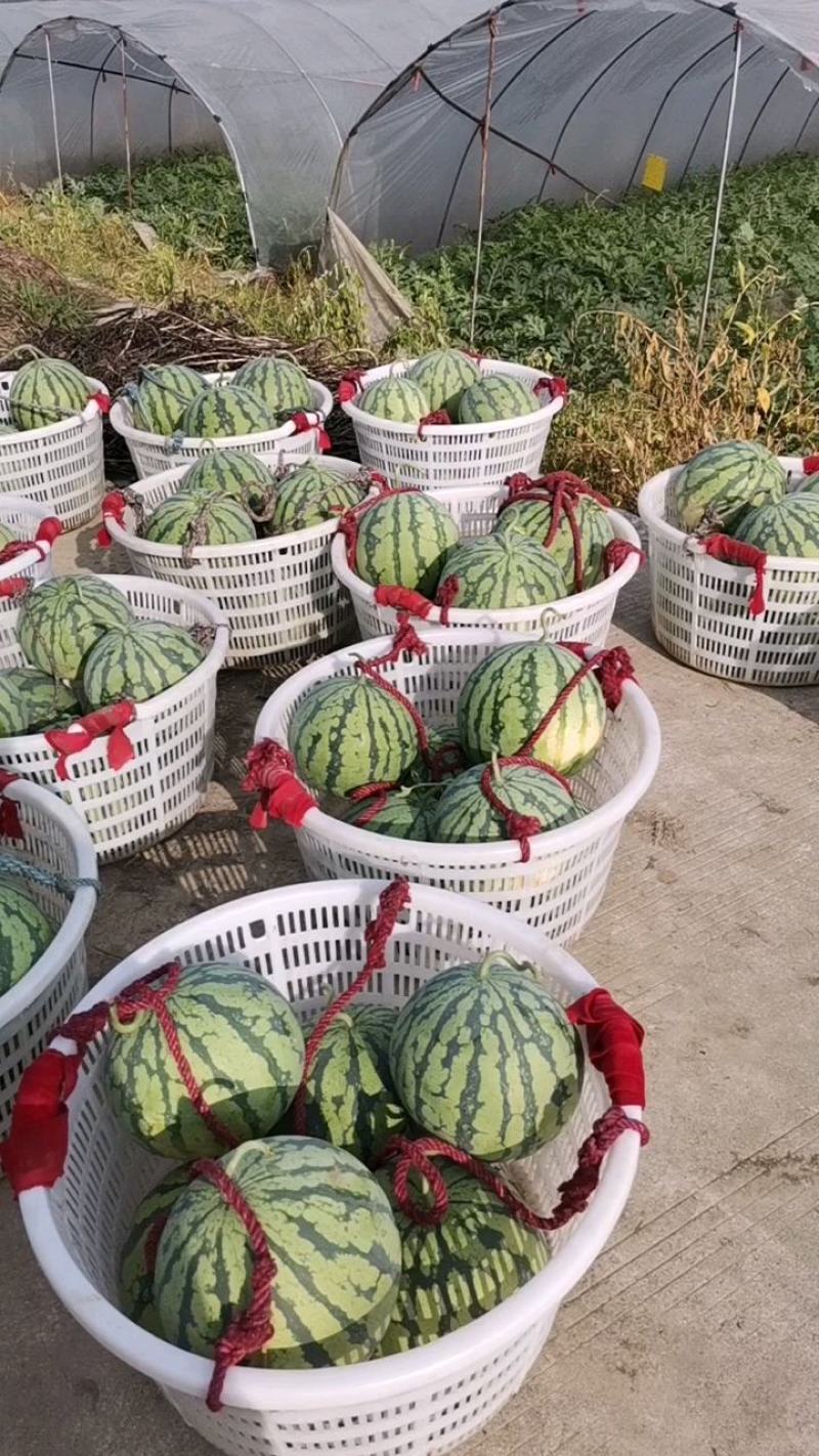 红岩8424西瓜头茌，包黑子味甜皮薄九成熟