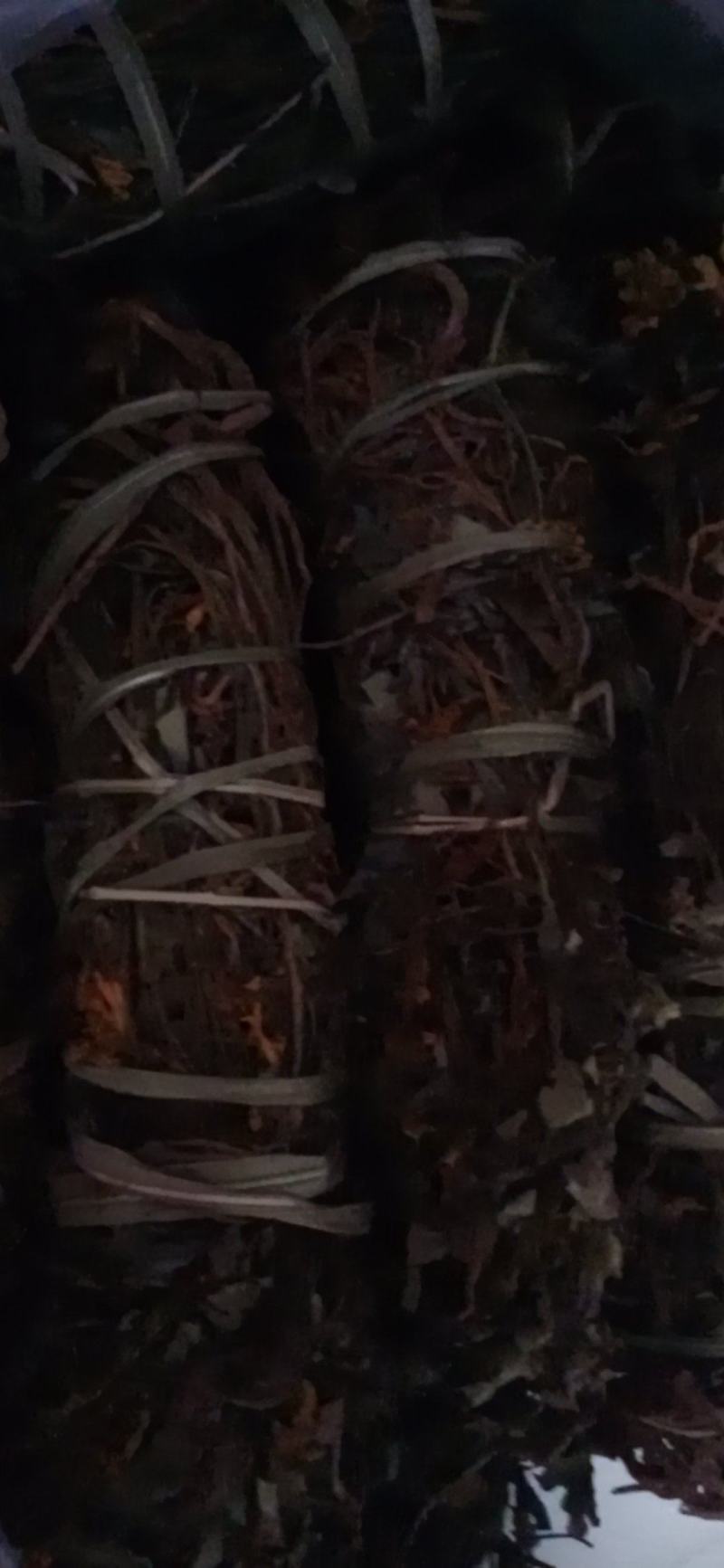 黄莲