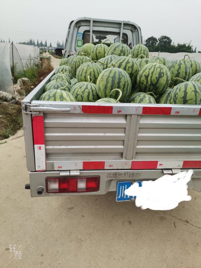 红岩8424西瓜头茌，包黑子味甜皮薄九成熟
