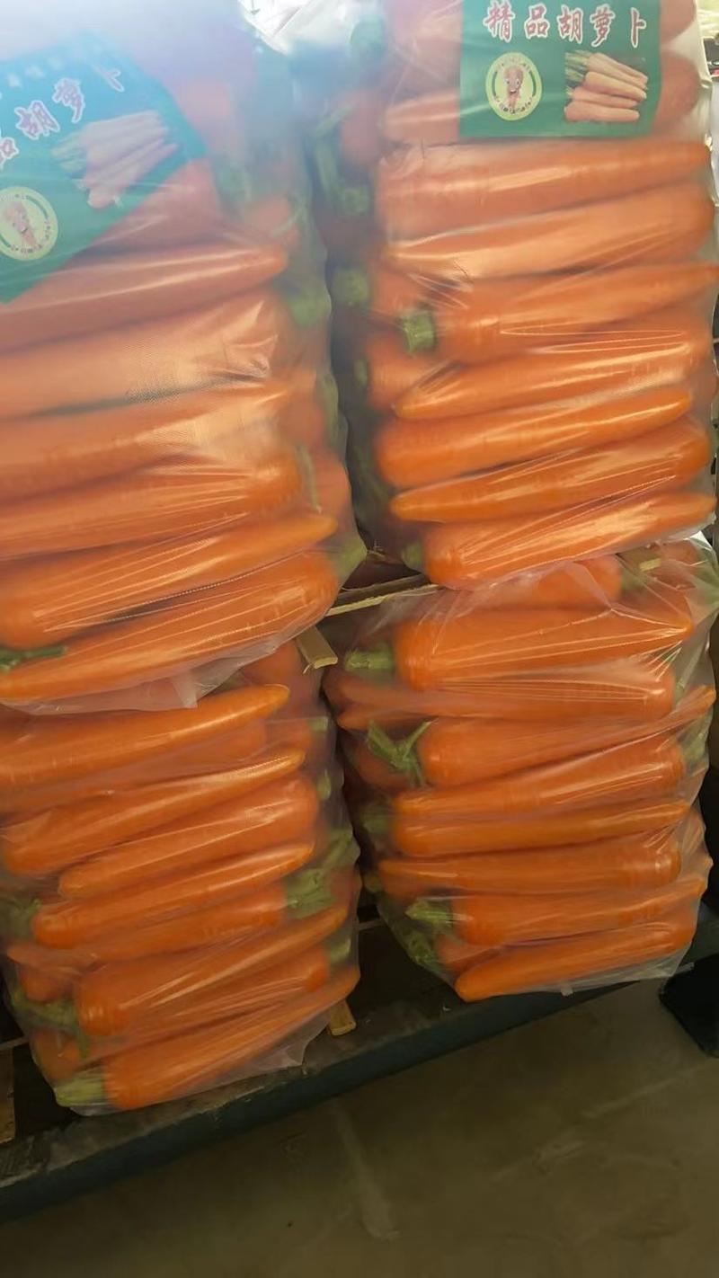 河南胡萝卜，精品精品水洗土货，干袋半苗全苗，电商市场超市