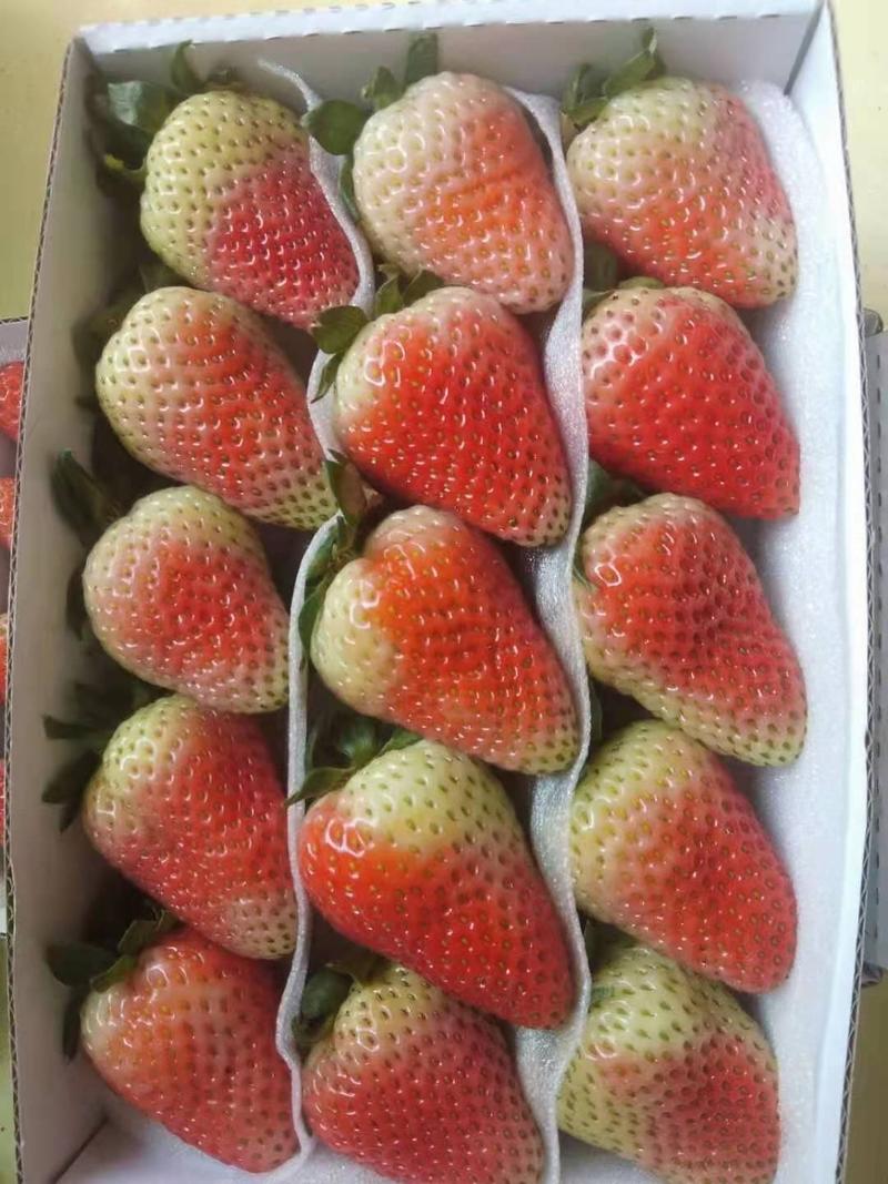 酸甜可口夏草莓