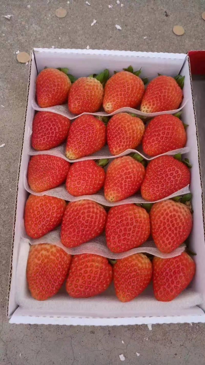 酸甜可口夏草莓