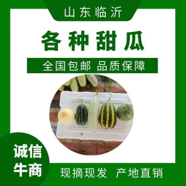【货源充足】实力认证甜瓜星甜20甜度高果子现摘现发