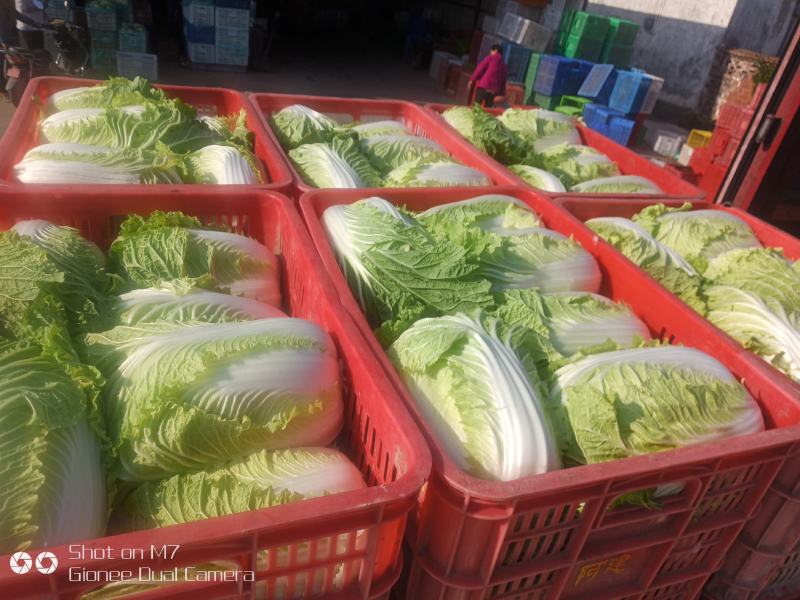 多吃水果蔬菜，好好保持心态，这样才会健康可爱