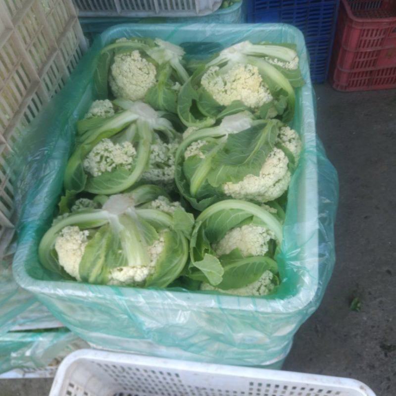 多吃水果蔬菜，好好保持心态，这样才会健康可爱