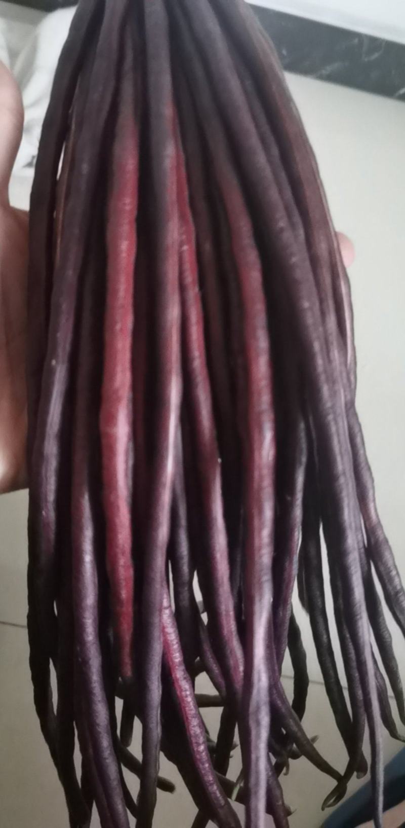 红豇豆种子春季耐热夏秋季四季蔬菜特长高产架豆紫豆角种籽孑