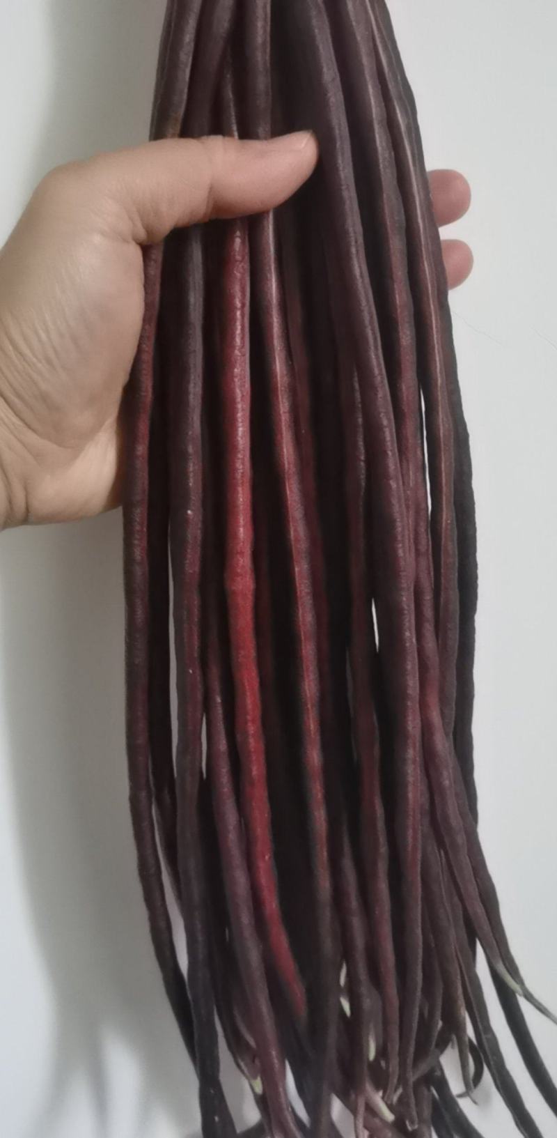 红豇豆种子春季耐热夏秋季四季蔬菜特长高产架豆紫豆角种籽孑