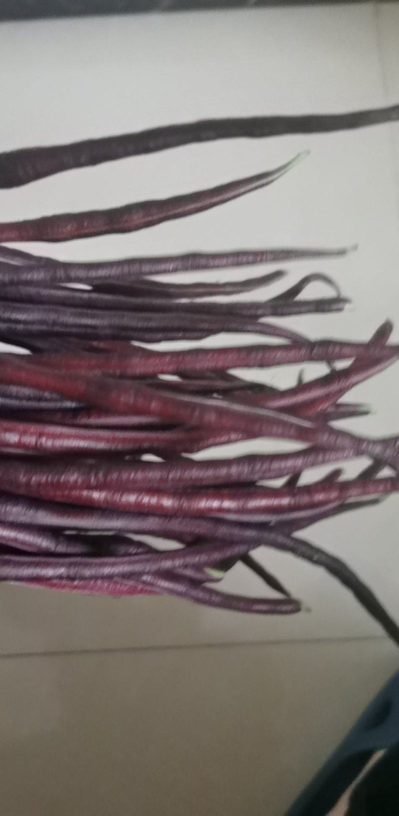 红豇豆种子春季耐热夏秋季四季蔬菜特长高产架豆紫豆角种籽孑