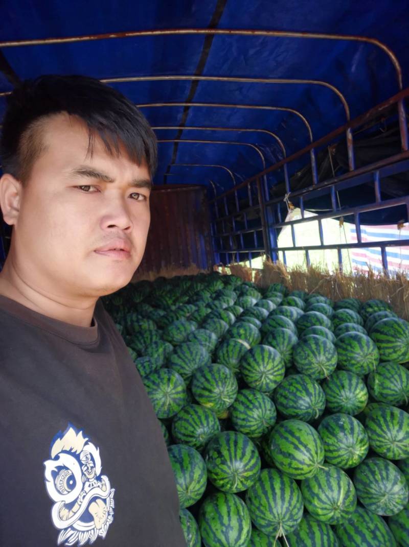 西瓜