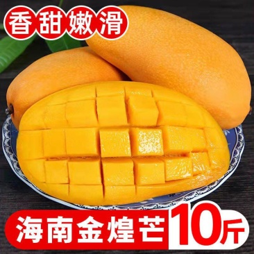 广西热带水果金煌芒抖音/快手/各大电商平台一件代发