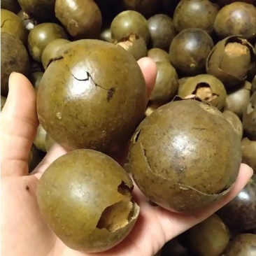 罗汉果破果批发零售大小破果