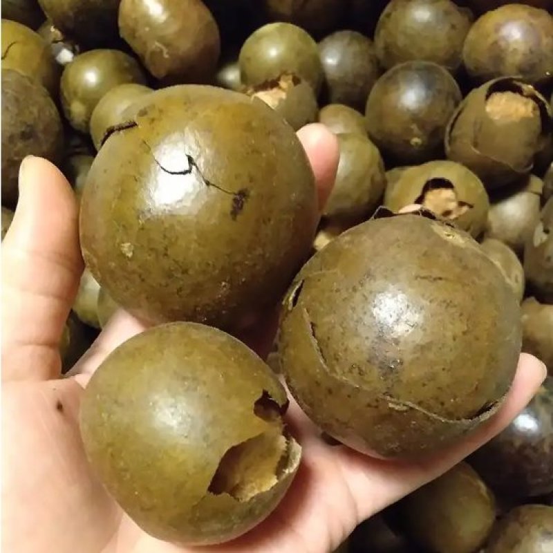 罗汉果破果批发零售大小破果