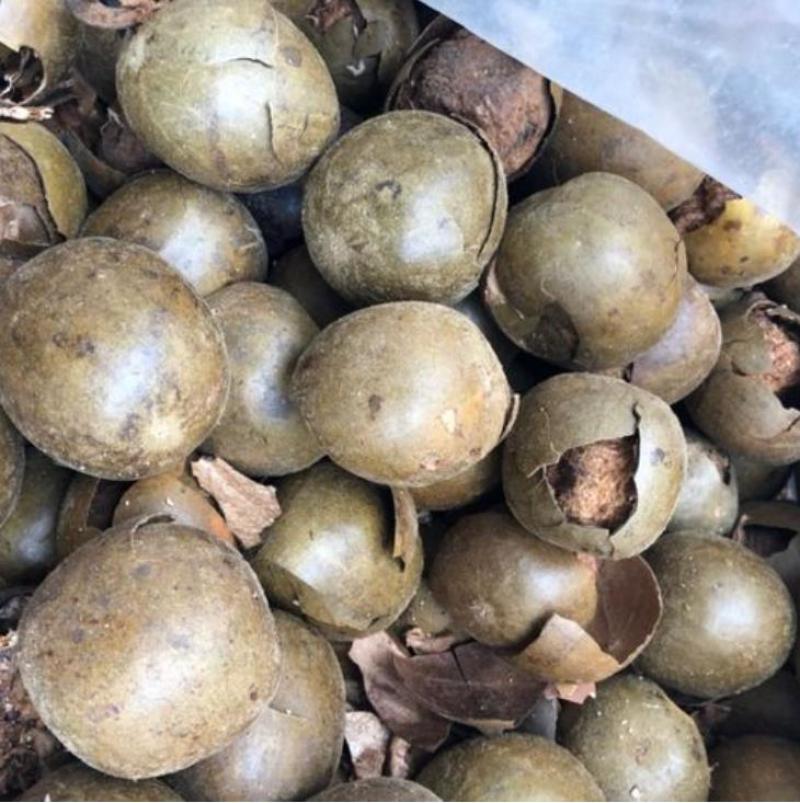 罗汉果破果批发零售大小破果