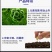蛋白酵素菌:生根增根壮苗，鱼蛋白+海藻素+酵素菌