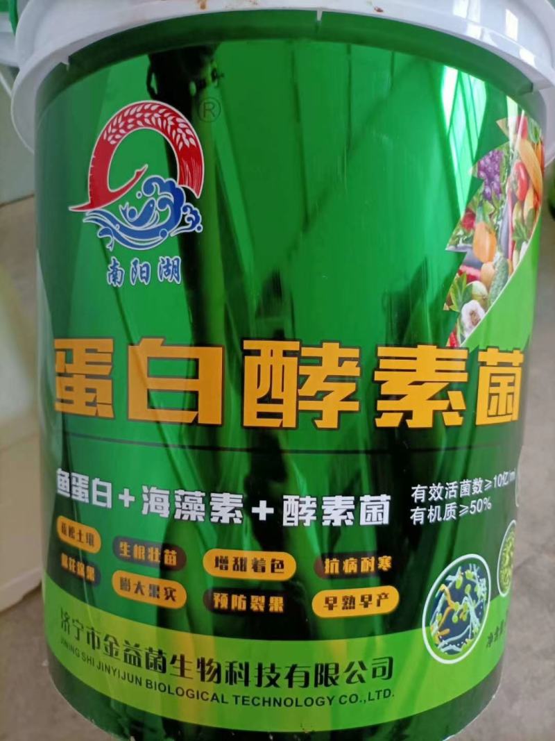 蛋白酵素菌:生根增根壮苗，鱼蛋白+海藻素+酵素菌
