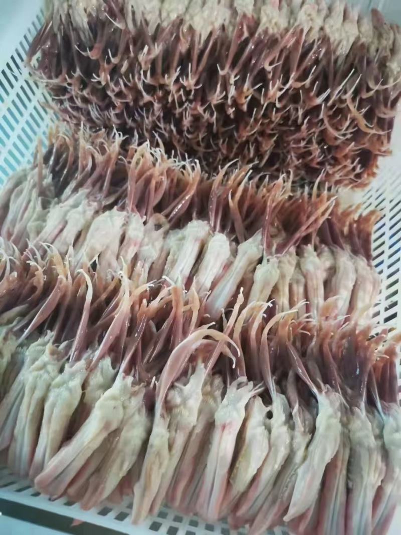 小鸭舌厂家直接发货价格美丽需要的可以联系我