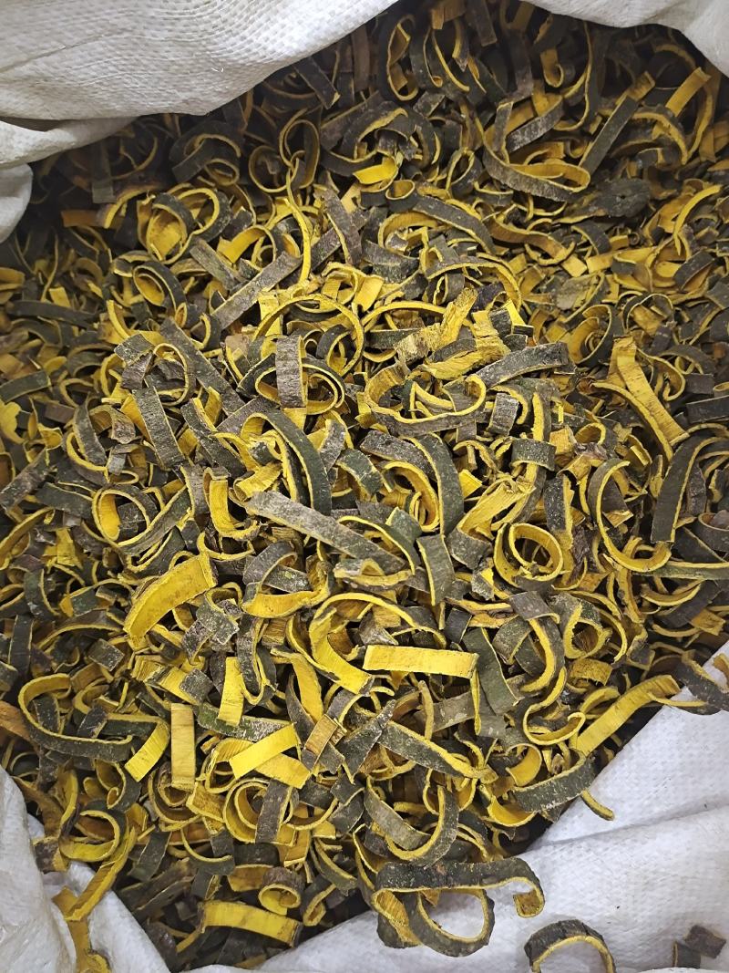 黄柏川黄柏关黄柏树皮黄柏带皮黄柏去皮黄柏地道中药