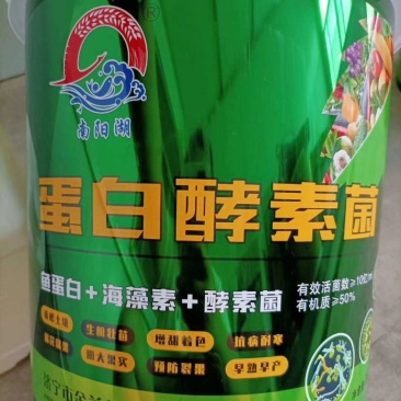 蛋白酵素菌:生根增根壮苗，鱼蛋白+海藻素+酵素菌