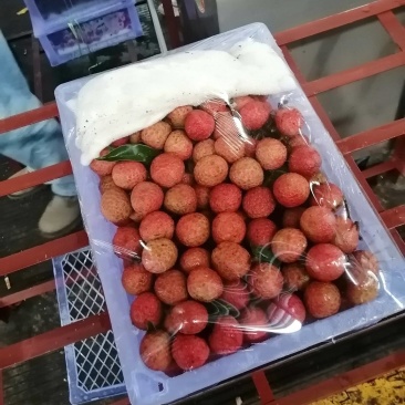 荔枝