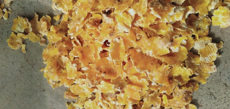 厂家直销大颗粒玉米压片大颗粒，完整度好