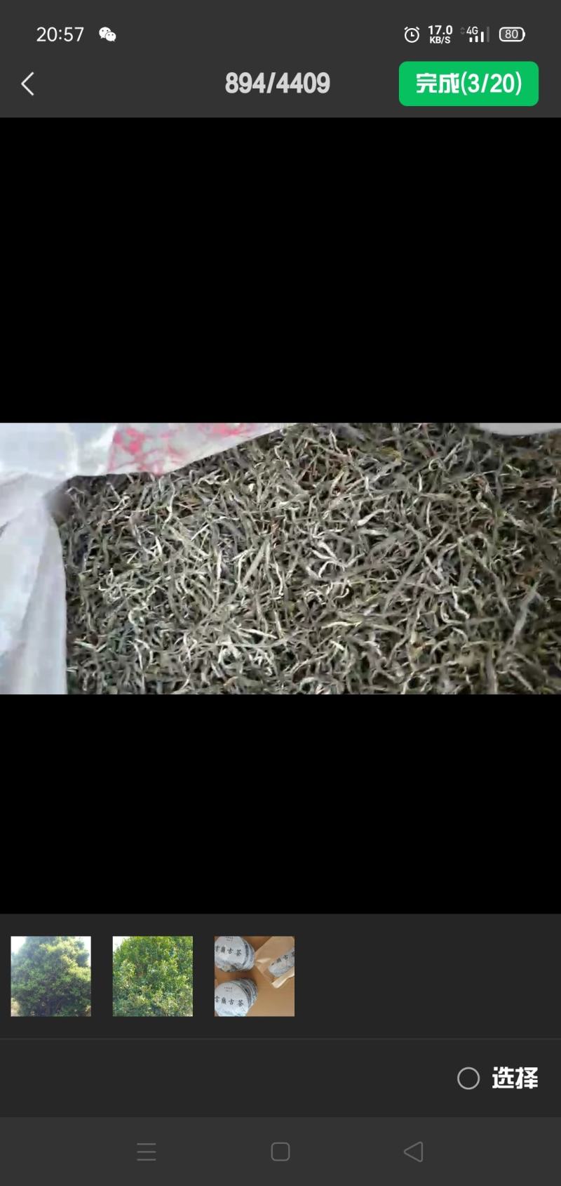 普洱茶