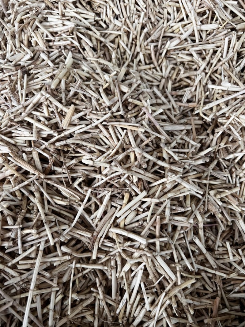 白茅根茅草根、野生无硫中药用白茅根