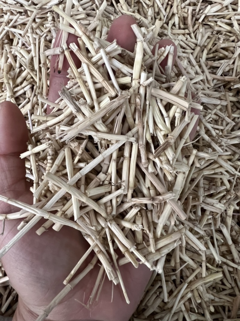 白茅根茅草根、野生无硫中药用白茅根