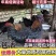乌黑鸡苗