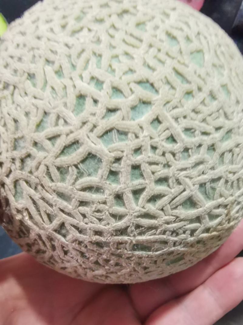 网纹瓜，电商，精品，产地直发，甜度高，皮毛好，个头均匀。