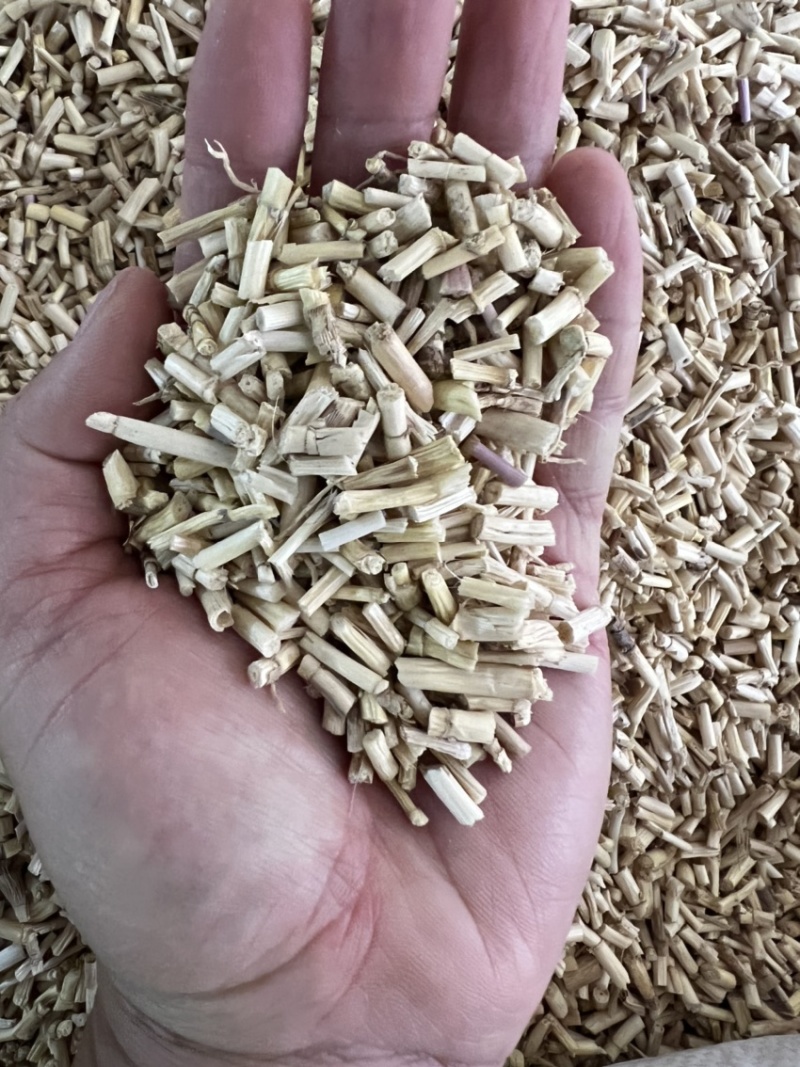 白茅根茅草根、野生无硫中药用白茅根