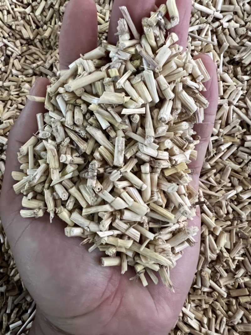 白茅根茅草根、野生无硫中药用白茅根