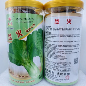 烈火青梗菜种子耐高温不拔节叶色绿早熟纤维少抗病