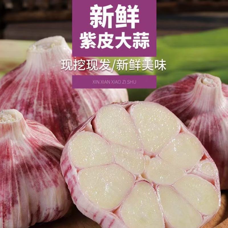 江苏徐州大蒜混级通货可大量存货，一手货源没有差价货源充足