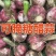 江苏徐州大蒜混级通货可大量存货，一手货源没有差价货源充足