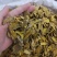 姜黄姜黄片片姜黄老姜黄红茬姜黄地道中药材
