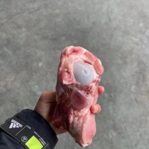 肉棒骨