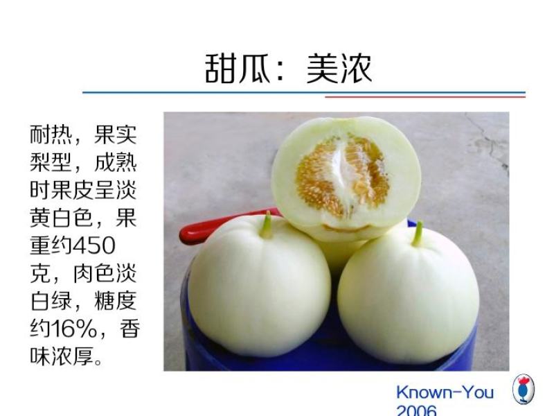 甜瓜精品甜宝湖北新品产地直供