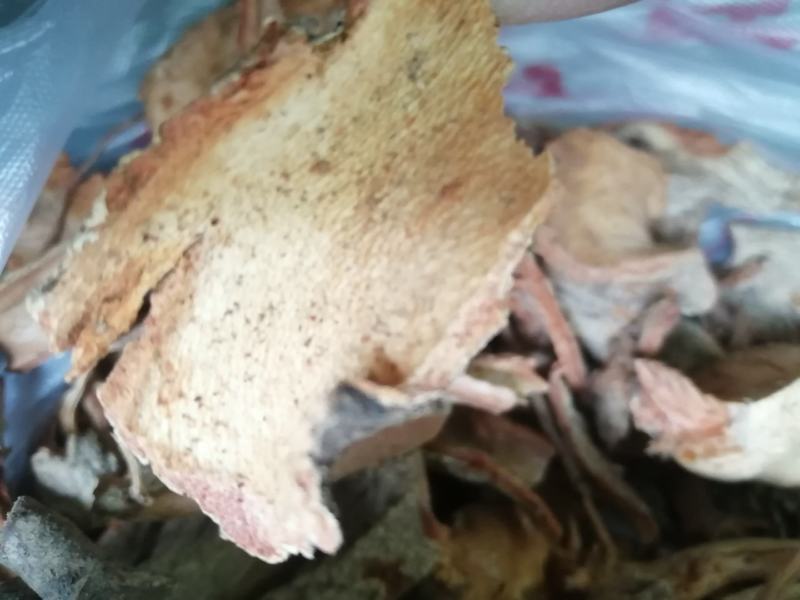苦皮藤棱枝南蛇藤苦皮藤干货野生中药材