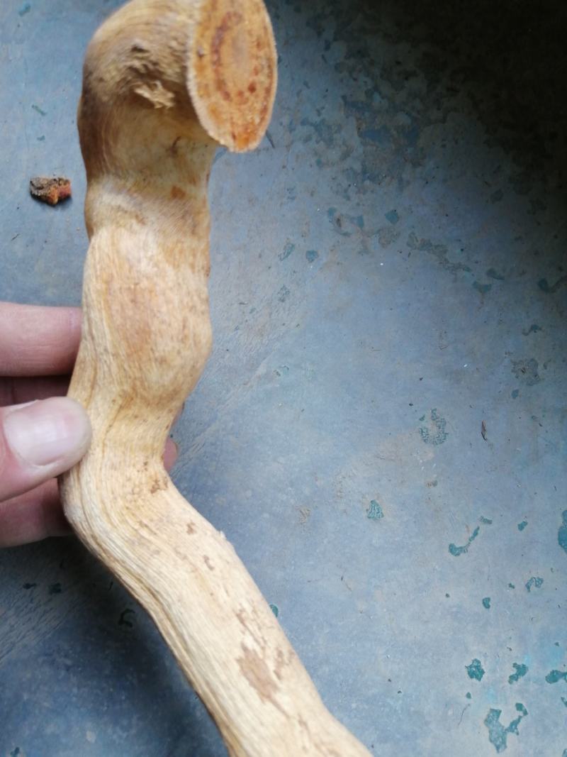 苦皮藤棱枝南蛇藤苦皮藤干货野生中药材