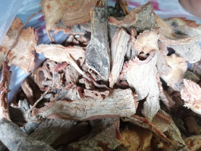 苦皮藤棱枝南蛇藤苦皮藤干货野生中药材