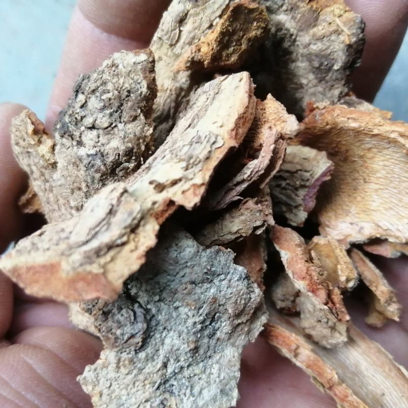 苦皮藤棱枝南蛇藤苦皮藤干货野生中药材
