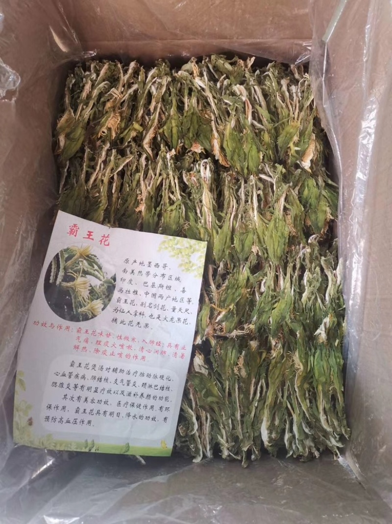 霸王花