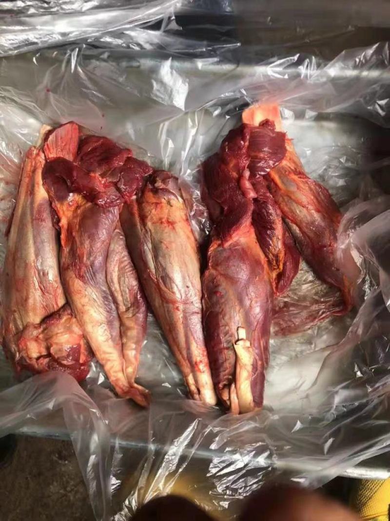 牦牛肉
