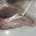 牦牛肉