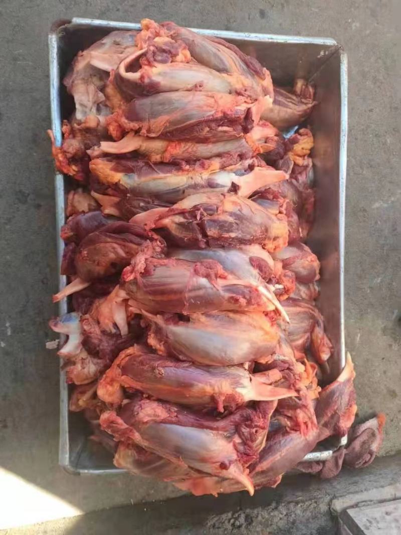 牦牛肉
