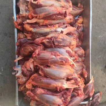 牦牛肉