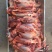 牦牛肉